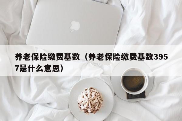 养老保险缴费基数（养老保险缴费基数3957是什么意思）