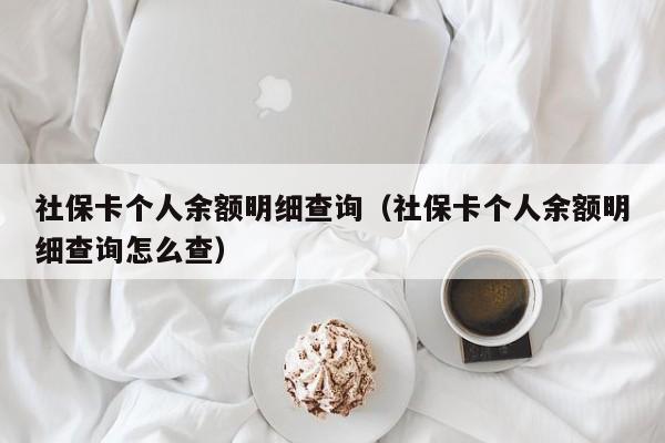 社保卡个人余额明细查询（社保卡个人余额明细查询怎么查）