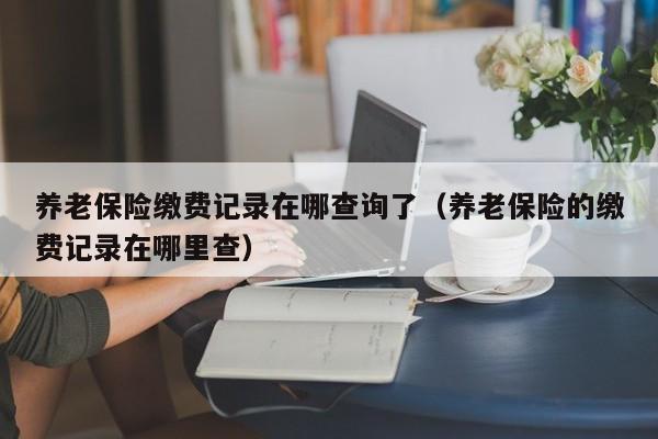 养老保险缴费记录在哪查询了（养老保险的缴费记录在哪里查）