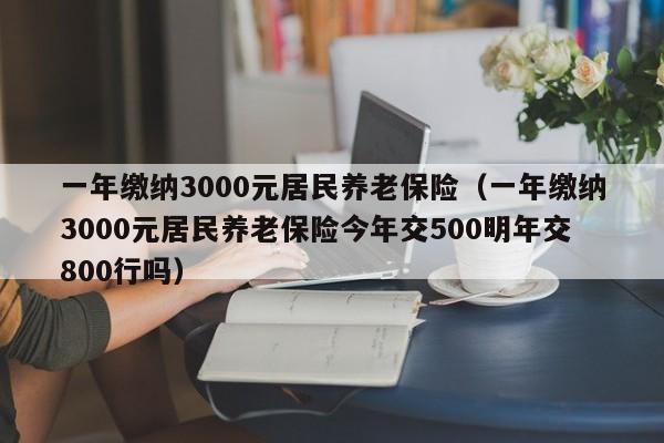 一年缴纳3000元居民养老保险（一年缴纳3000元居民养老保险今年交500明年交800行吗）