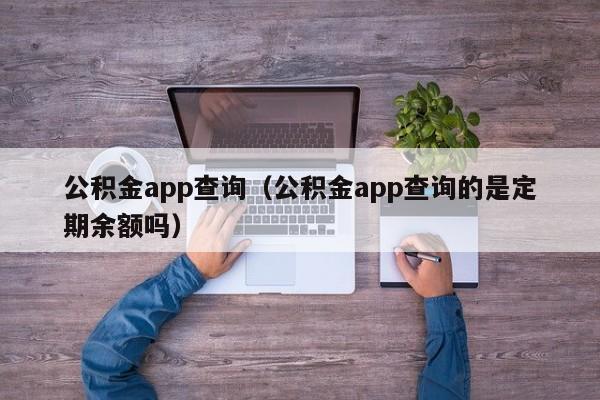 公积金app查询（公积金app查询的是定期余额吗）
