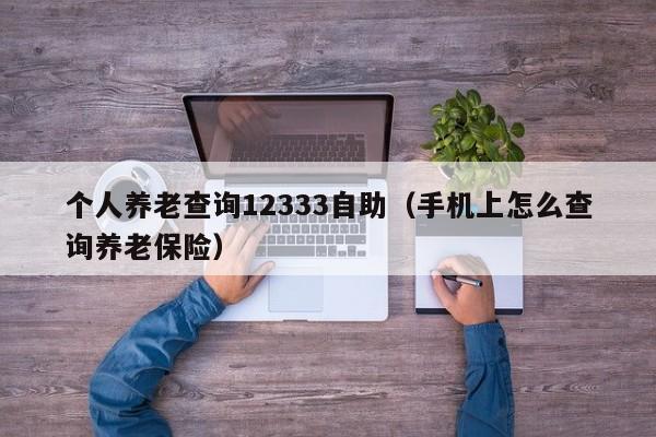 个人养老查询12333自助（手机上怎么查询养老保险）