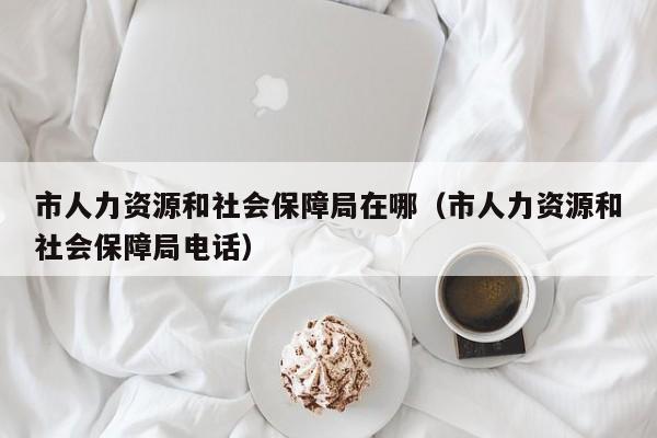 市人力资源和社会保障局在哪（市人力资源和社会保障局电话）