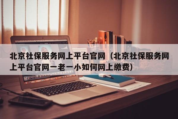北京社保服务网上平台官网（北京社保服务网上平台官网一老一小如何网上缴费）