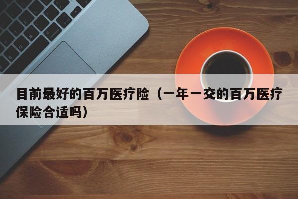 目前最好的百万医疗险（一年一交的百万医疗保险合适吗）