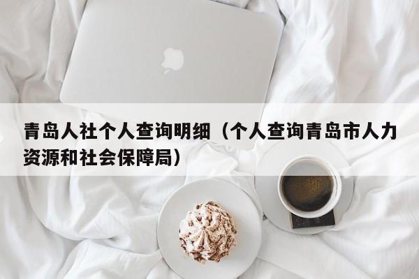 青岛人社个人查询明细（个人查询青岛市人力资源和社会保障局）