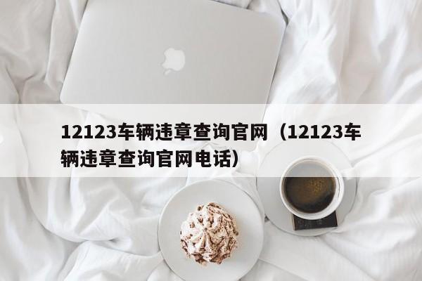 12123车辆违章查询官网（12123车辆违章查询官网电话）