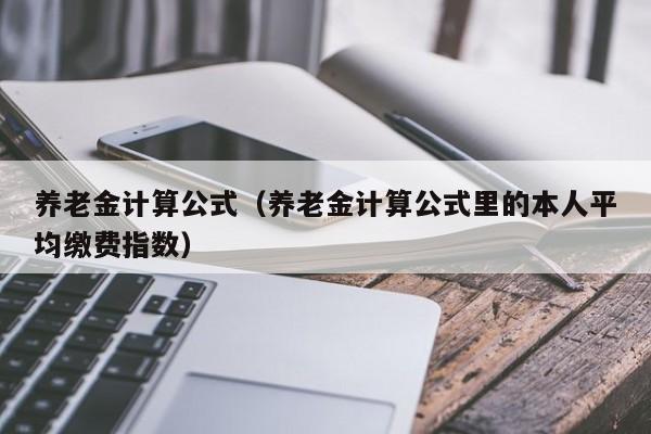 养老金计算公式（养老金计算公式里的本人平均缴费指数）