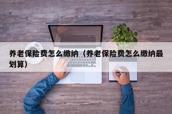 养老保险费怎么缴纳（养老保险费怎么缴纳最划算）