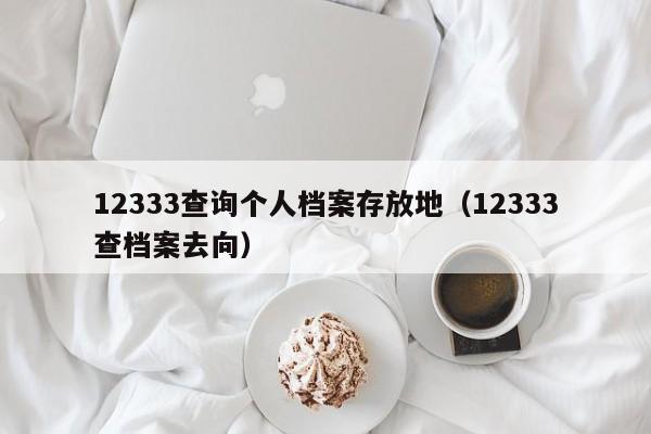 12333查询个人档案存放地（12333查档案去向）