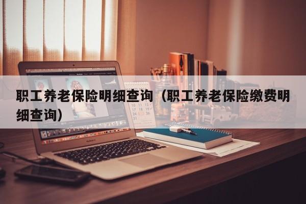 职工养老保险明细查询（职工养老保险缴费明细查询）