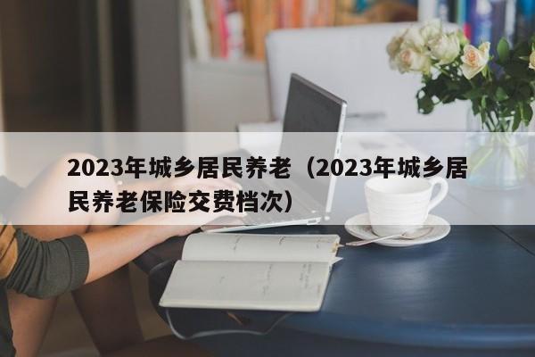 2023年城乡居民养老（2023年城乡居民养老保险交费档次）