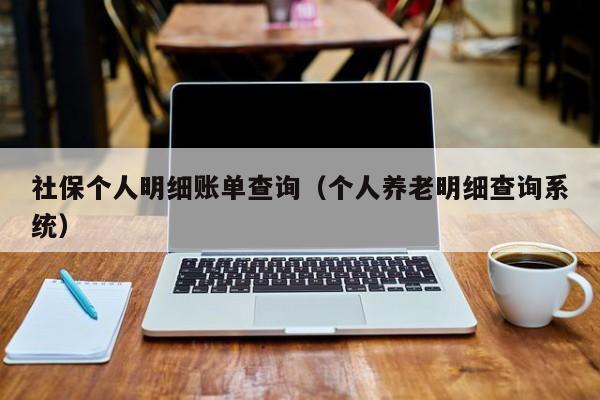 社保个人明细账单查询（个人养老明细查询系统）