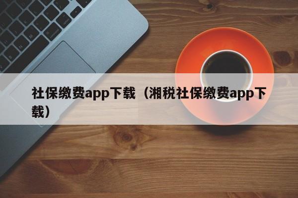 社保缴费app下载（湘税社保缴费app下载）