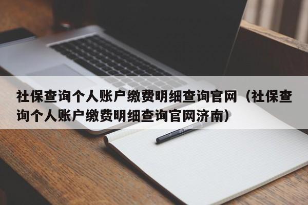 社保查询个人账户缴费明细查询官网（社保查询个人账户缴费明细查询官网济南）