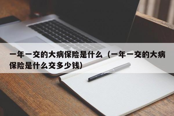 一年一交的大病保险是什么（一年一交的大病保险是什么交多少钱）