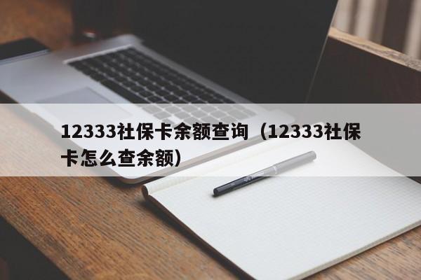 12333社保卡余额查询（12333社保卡怎么查余额）