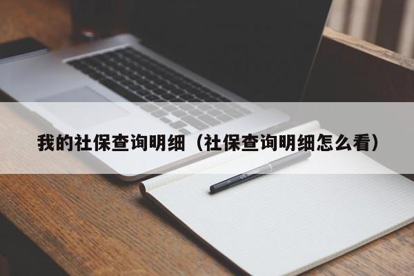 我的社保查询明细（社保查询明细怎么看）