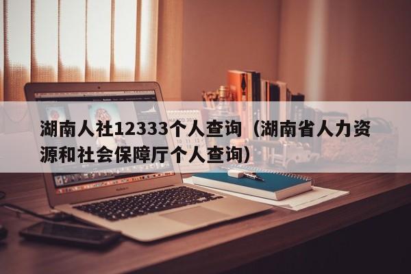 湖南人社12333个人查询（湖南省人力资源和社会保障厅个人查询）