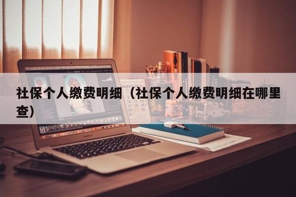 社保个人缴费明细（社保个人缴费明细在哪里查）