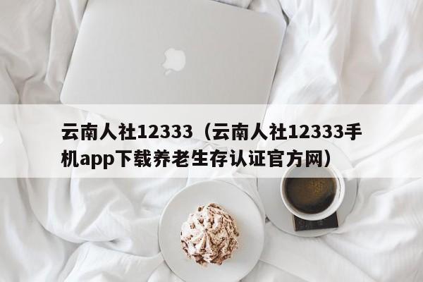 云南人社12333（云南人社12333手机app下载养老生存认证官方网）