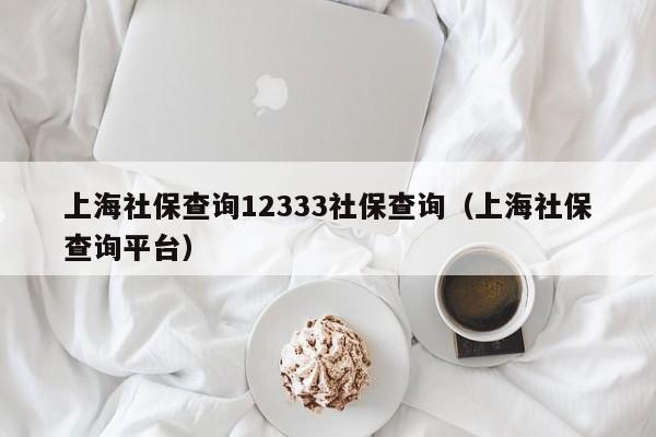 上海社保查询12333社保查询（上海社保查询平台）