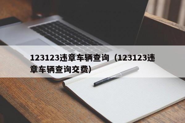 123123违章车辆查询（123123违章车辆查询交费）