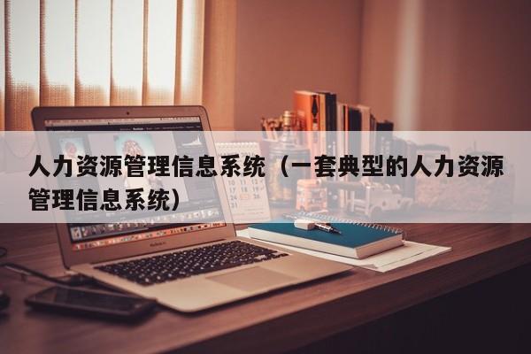 人力资源管理信息系统（一套典型的人力资源管理信息系统）
