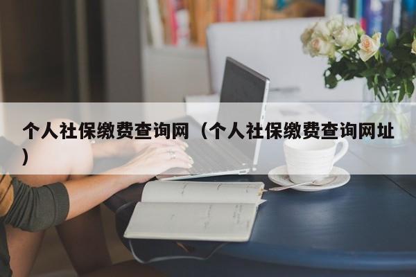 个人社保缴费查询网（个人社保缴费查询网址）