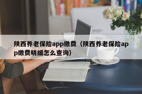 陕西养老保险app缴费（陕西养老保险app缴费明细怎么查询）