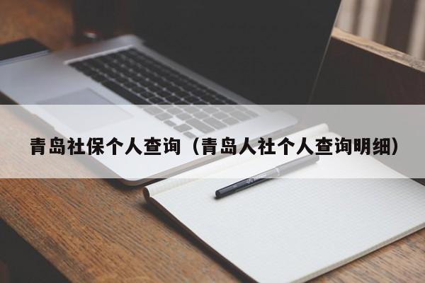 青岛社保个人查询（青岛人社个人查询明细）