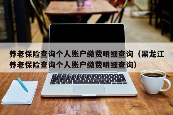 养老保险查询个人账户缴费明细查询（黑龙江养老保险查询个人账户缴费明细查询）