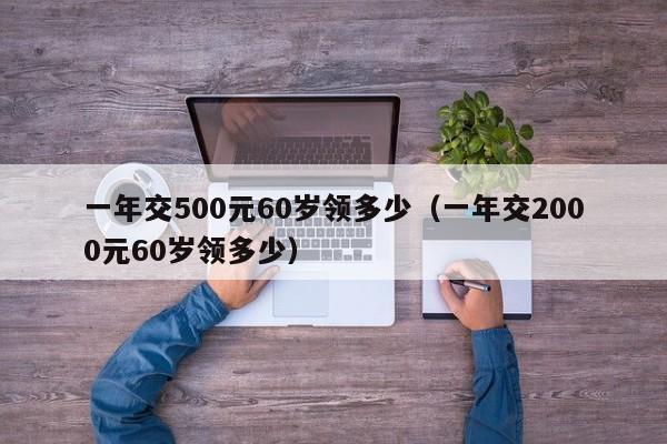 一年交500元60岁领多少（一年交2000元60岁领多少）