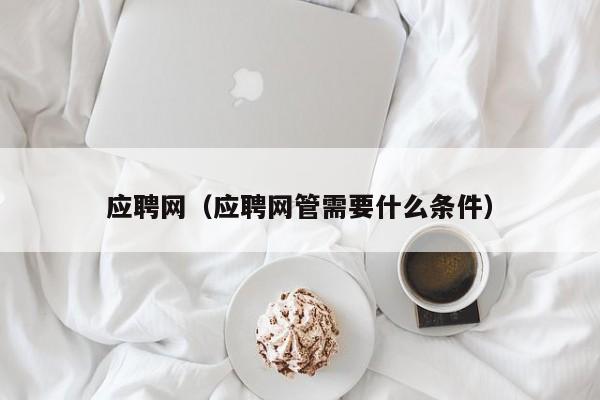 应聘网（应聘网管需要什么条件）