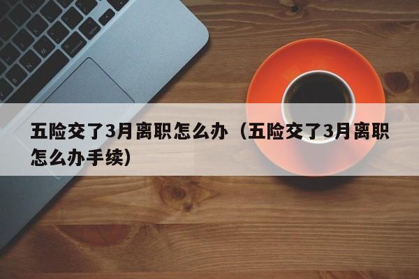 五险交了3月离职怎么办（五险交了3月离职怎么办手续）