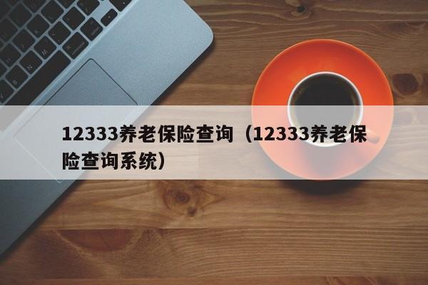12333养老保险查询（12333养老保险查询系统）