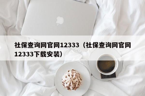社保查询网官网12333（社保查询网官网12333下载安装）