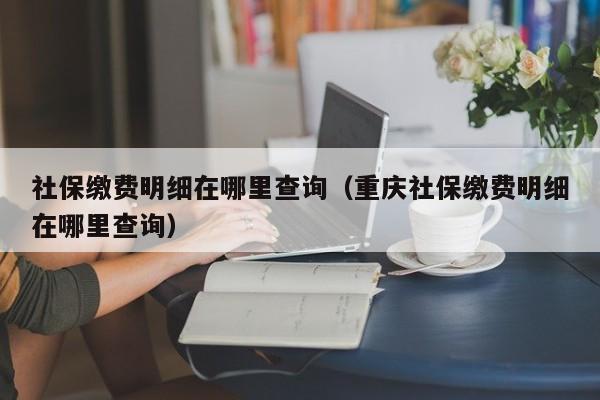 社保缴费明细在哪里查询（重庆社保缴费明细在哪里查询）