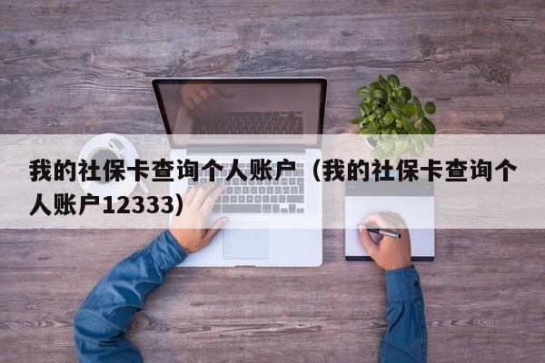 我的社保卡查询个人账户（我的社保卡查询个人账户12333）