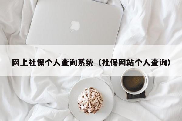 网上社保个人查询系统（社保网站个人查询）