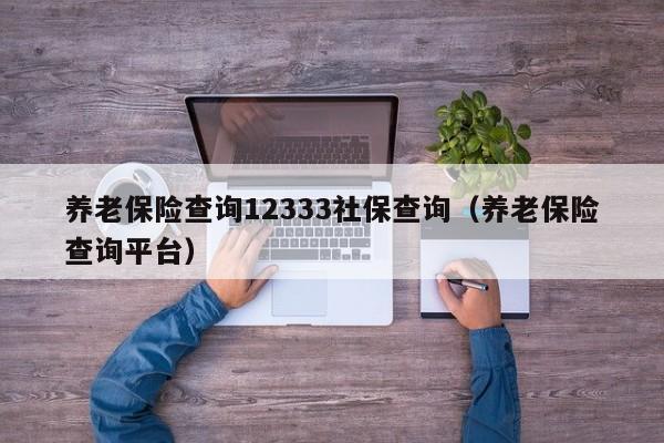 养老保险查询12333社保查询（养老保险查询平台）
