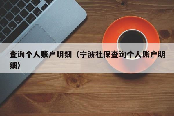 查询个人账户明细（宁波社保查询个人账户明细）