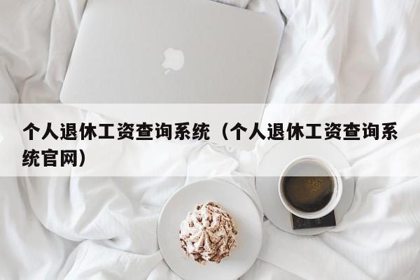 个人退休工资查询系统（个人退休工资查询系统官网）