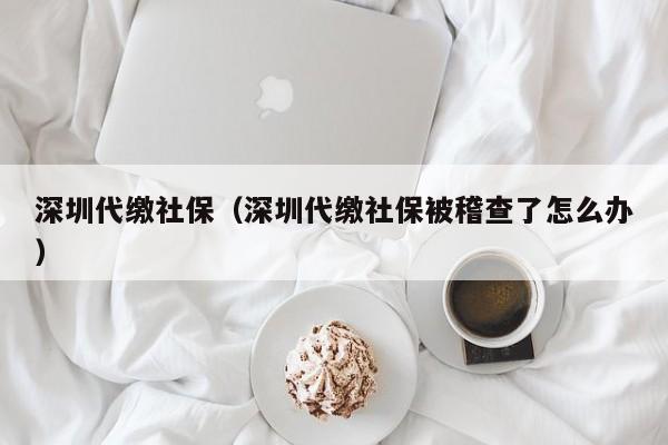 深圳代缴社保（深圳代缴社保被稽查了怎么办）