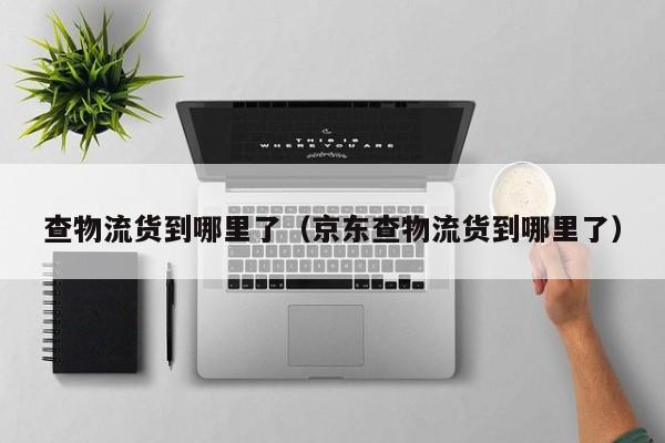 查物流货到哪里了（京东查物流货到哪里了）