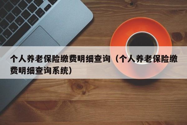 个人养老保险缴费明细查询（个人养老保险缴费明细查询系统）