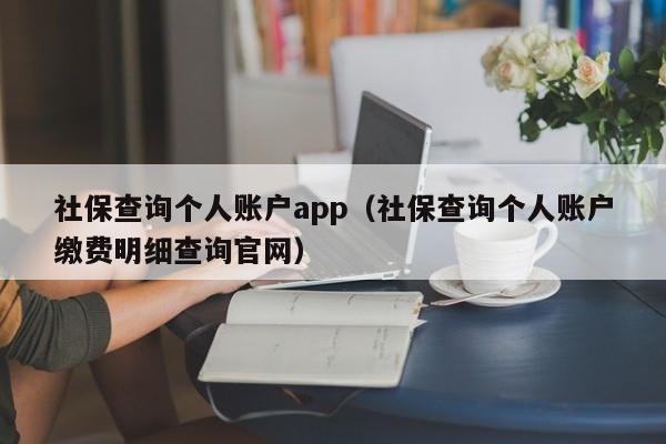社保查询个人账户app（社保查询个人账户缴费明细查询官网）