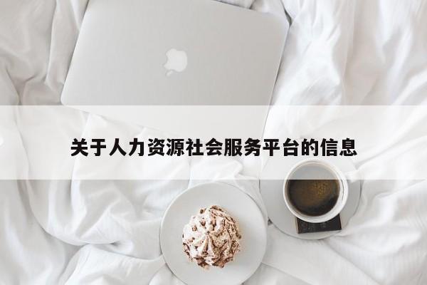 关于人力资源社会服务平台的信息