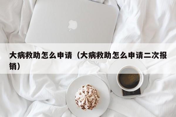 大病救助怎么申请（大病救助怎么申请二次报销）