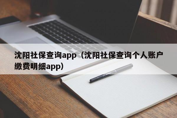 沈阳社保查询app（沈阳社保查询个人账户缴费明细app）